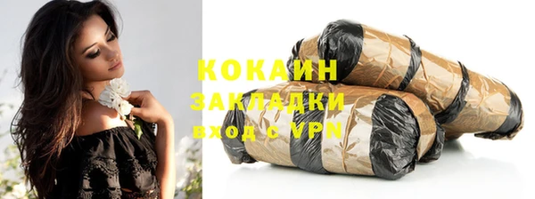 бошки Белокуриха