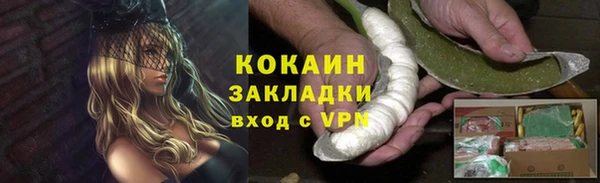 бошки Белокуриха