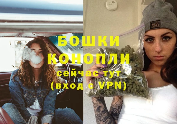 бошки Белокуриха