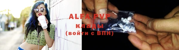 бошки Белокуриха