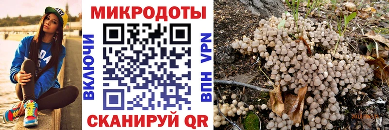 Галлюциногенные грибы Psilocybine cubensis  Кировск 